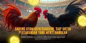 Jenama Ayam Petarung S128: Ratu Sabung Ayam Online