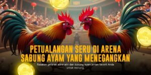 Mengenal Jenis Ayam Bangkok Putih dalam Dunia Sabung Ayam