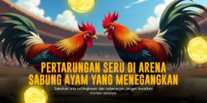 Merk Ayam Aduan Terbaik dan Peluang Menang di SV388