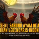 Mengenal Ayam Bangkok SV388: Raja Sabung Ayam Online