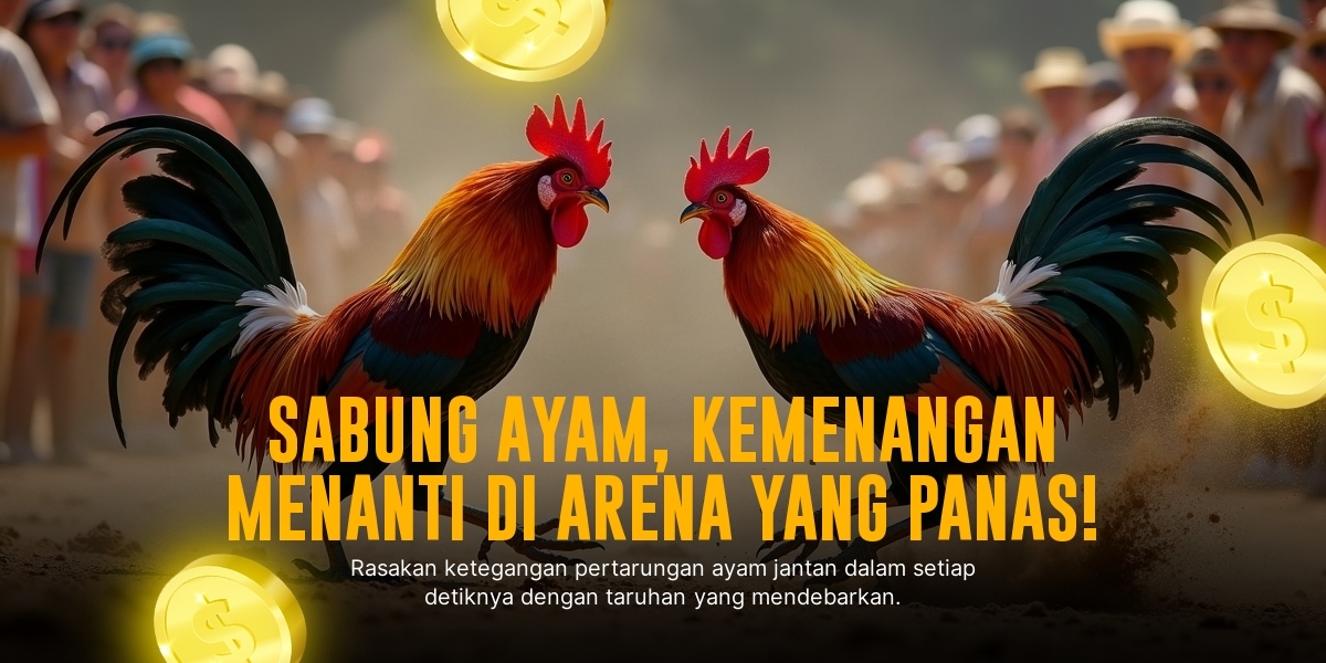Rahasia Ayam Bangkok di Dunia Sabung Ayam SV388