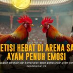 Mengenal Ayam Bangkok: Raja Sabung yang Bikin Penasaran